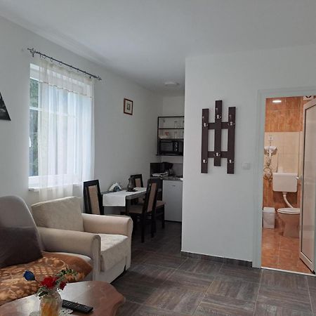 Vila Mozart - Apartments & Studios Копаоник Екстер'єр фото