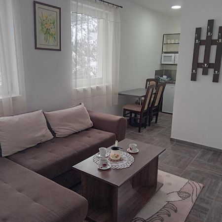 Vila Mozart - Apartments & Studios Копаоник Екстер'єр фото