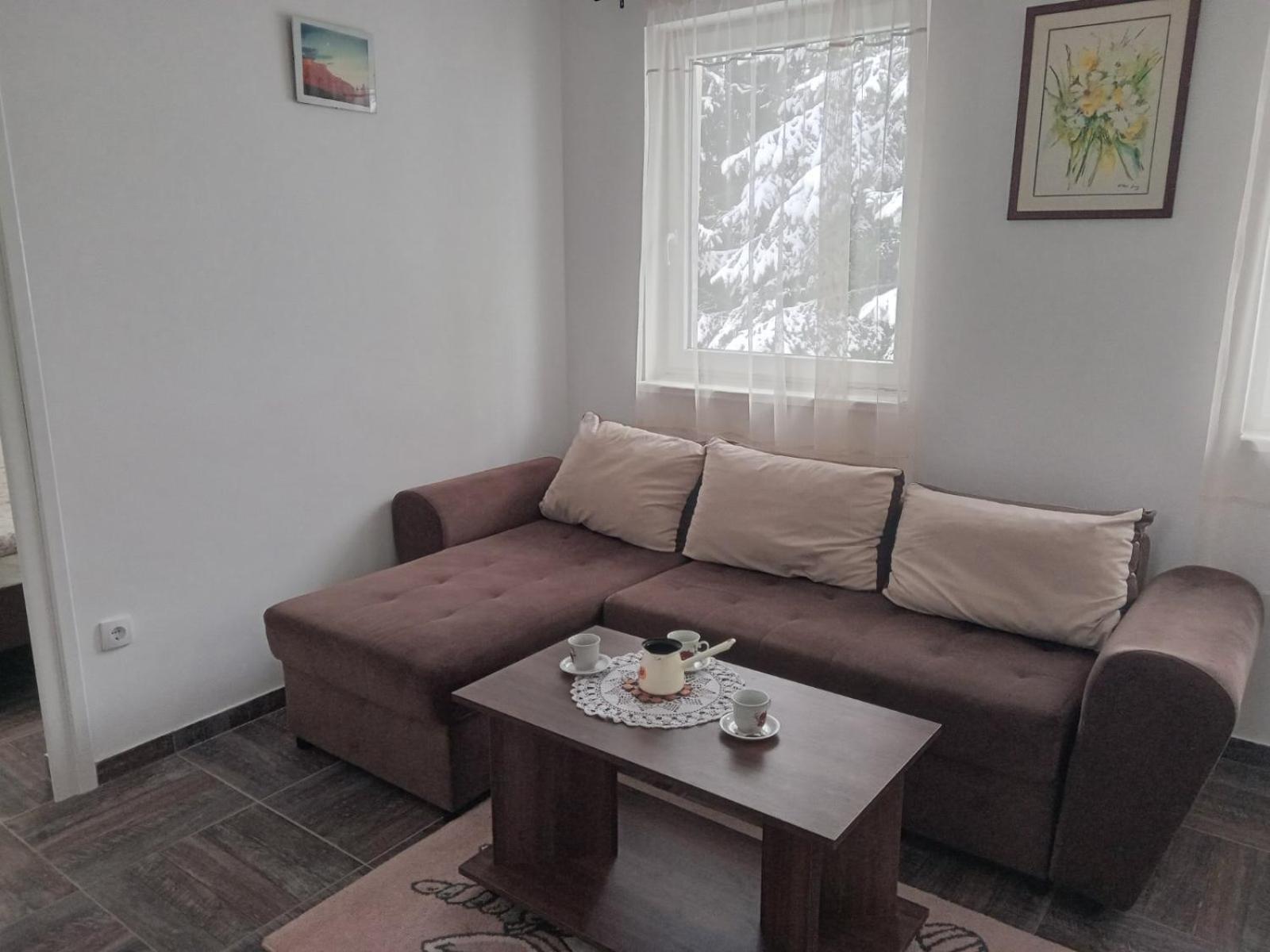 Vila Mozart - Apartments & Studios Копаоник Екстер'єр фото