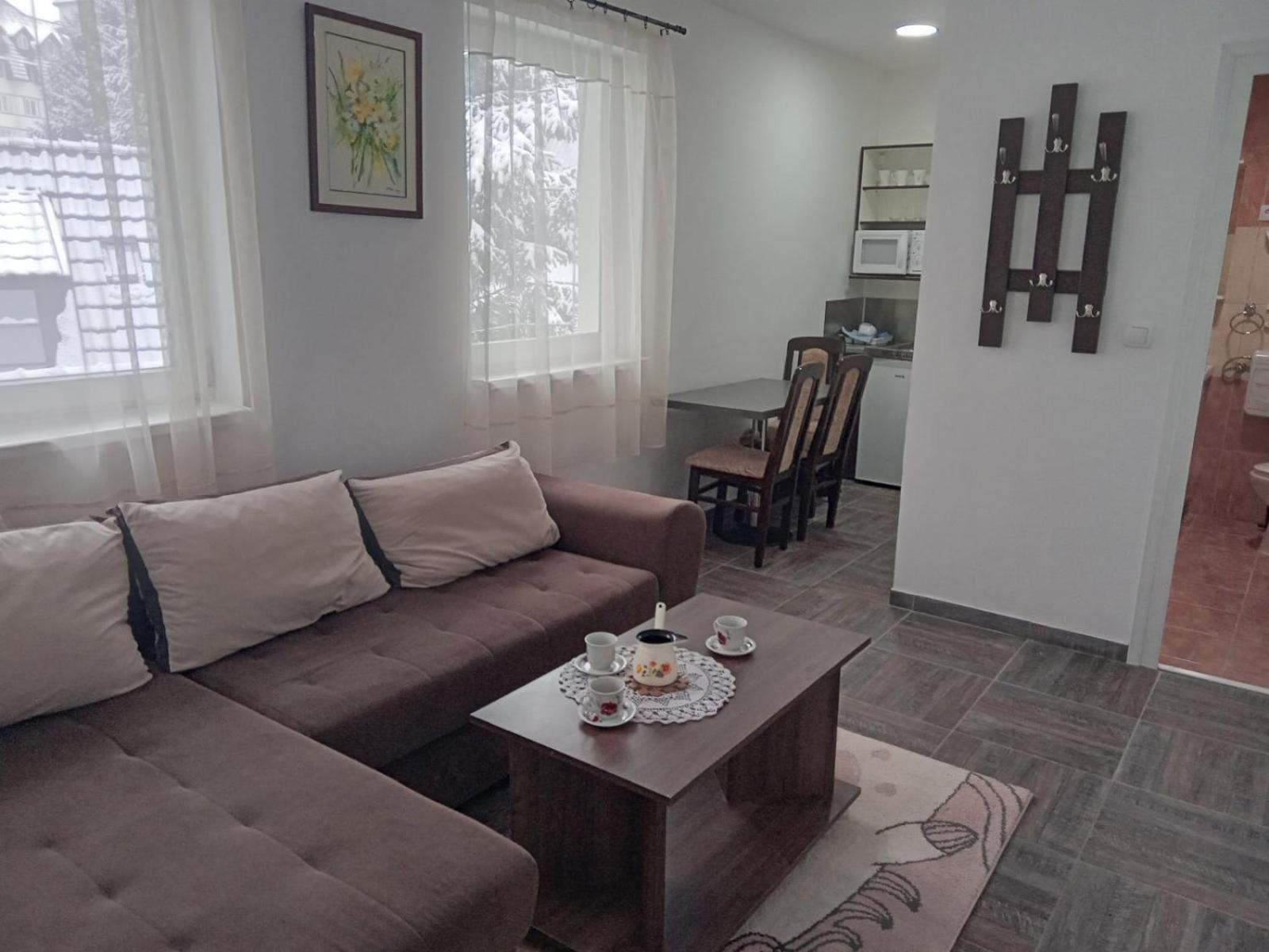 Vila Mozart - Apartments & Studios Копаоник Екстер'єр фото