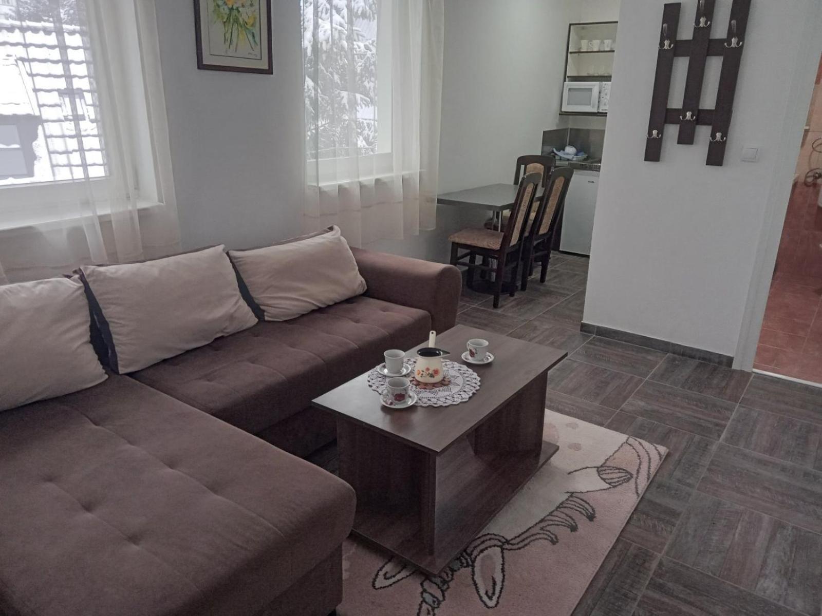 Vila Mozart - Apartments & Studios Копаоник Екстер'єр фото
